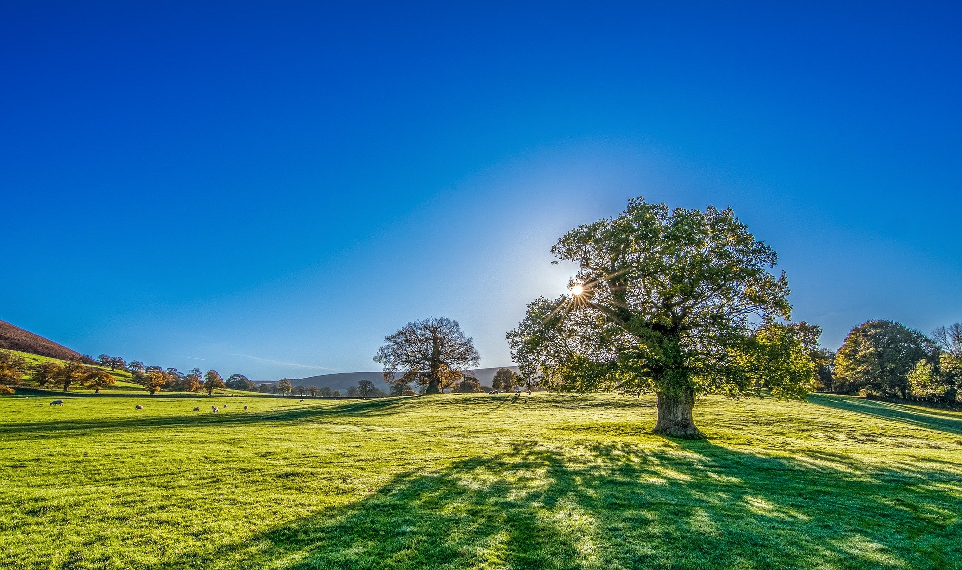 Explore The United Kingdom