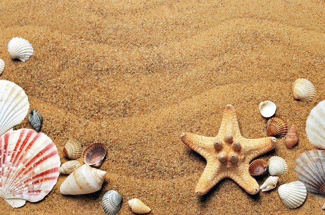 Beaches