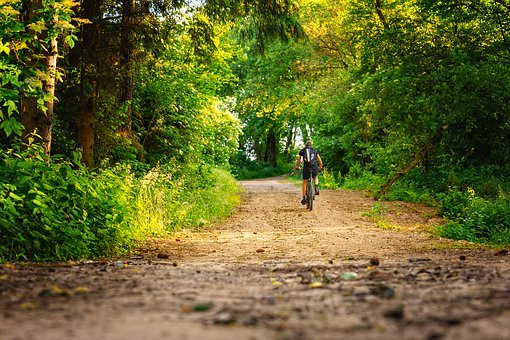 Bicycle Tour