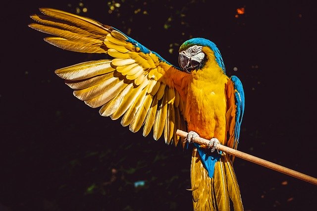 Visit The Paphos Zoo