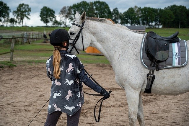 Horse Riding