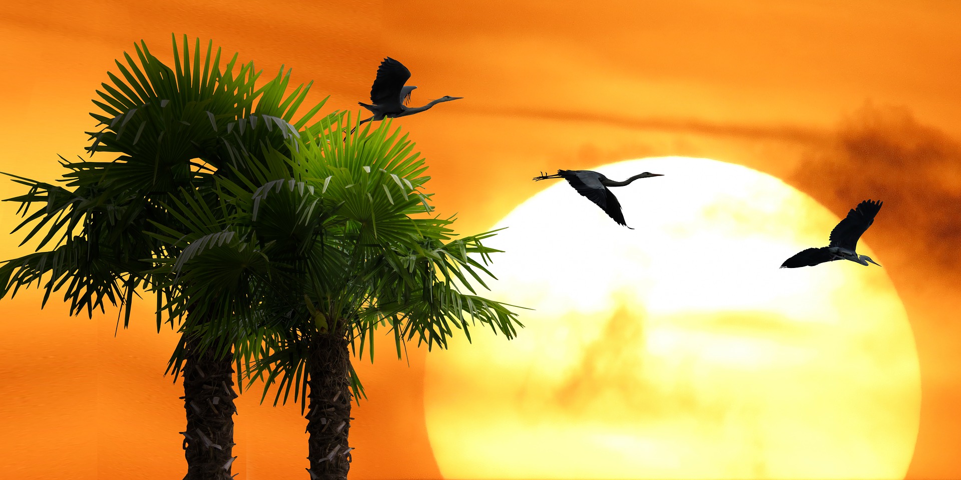 Summer Sun Holidays
