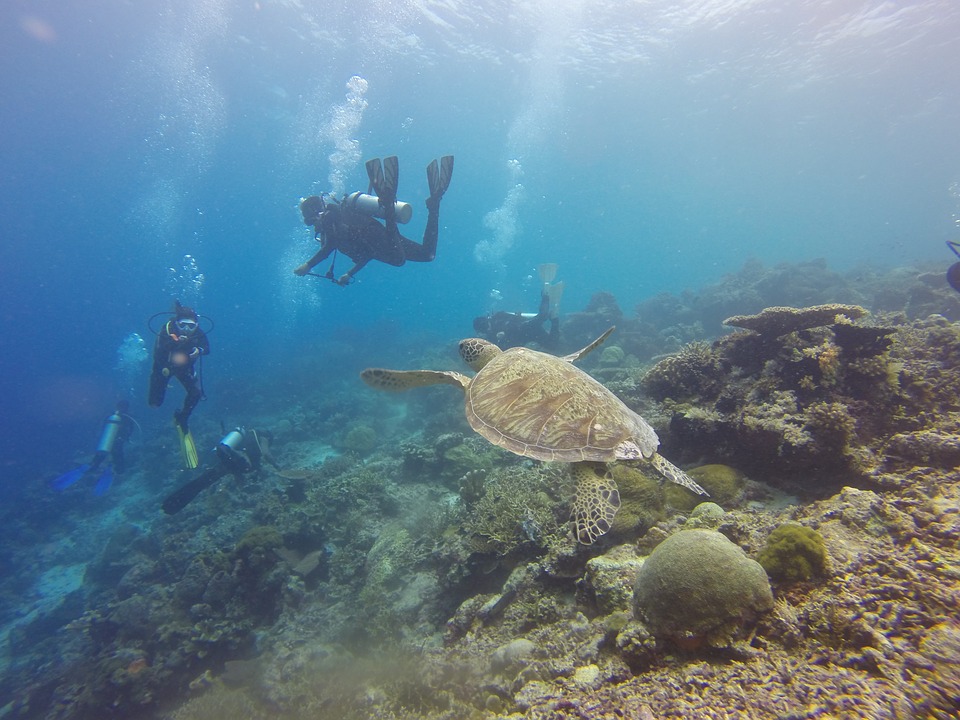 Scuba Diving