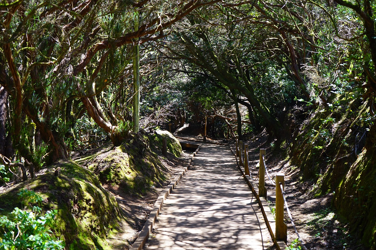 Levada Walking
