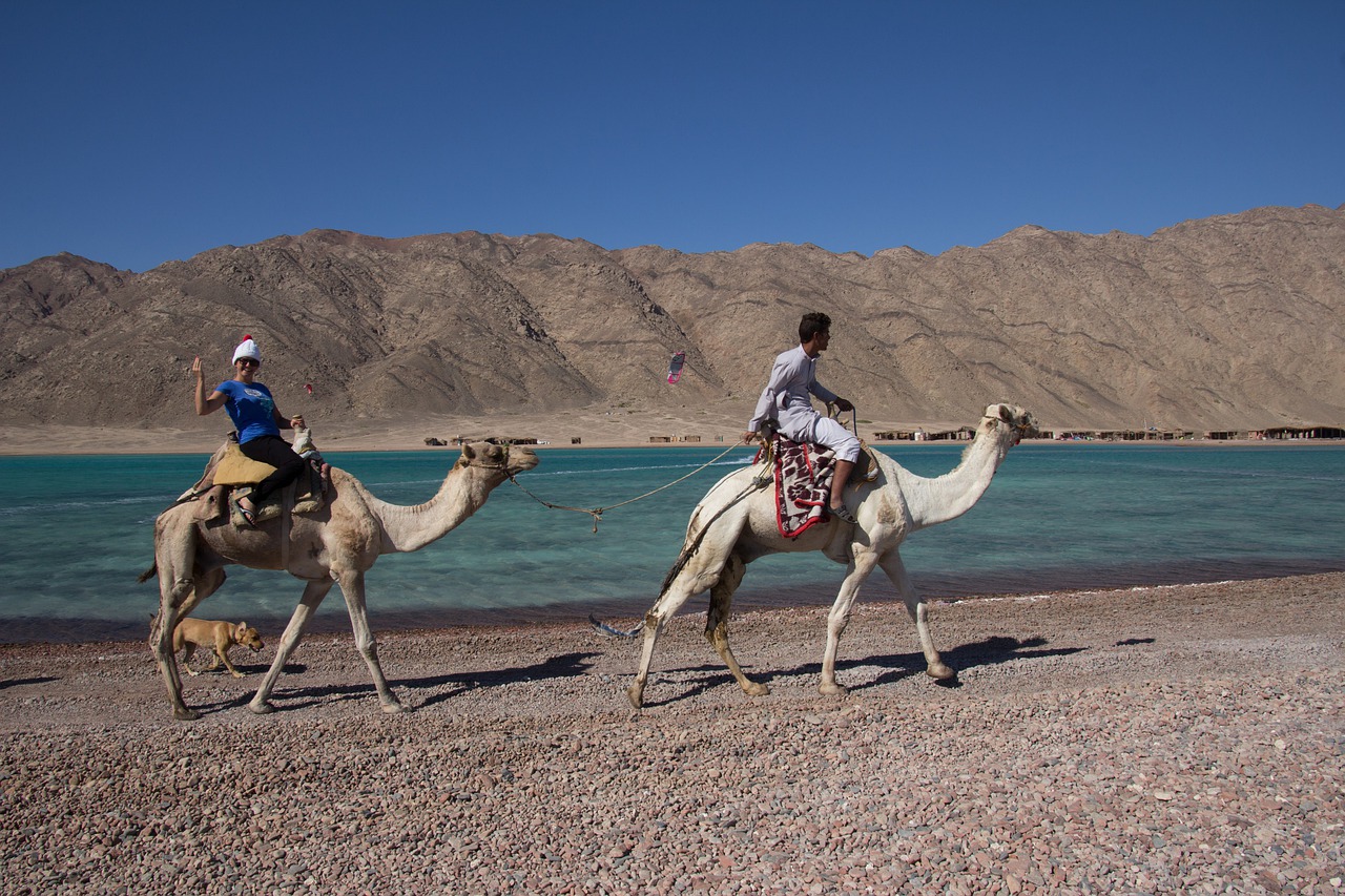 Desert Adventure